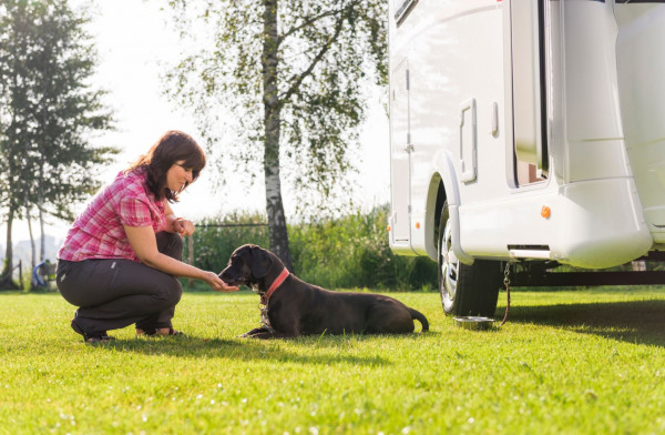 Dethleffs "4 paws" lead hanger pack for motor homes