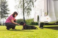 'Pack confort pour nos amis à 4 pattes'' - Anneau d'arrimage extérieur pour camping-cars 